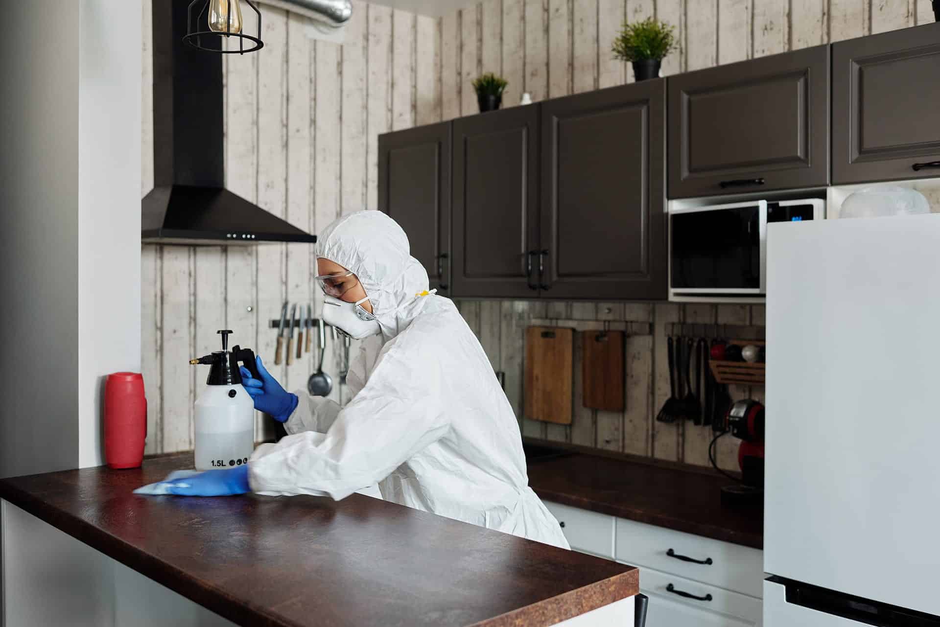 Cleaning Services
