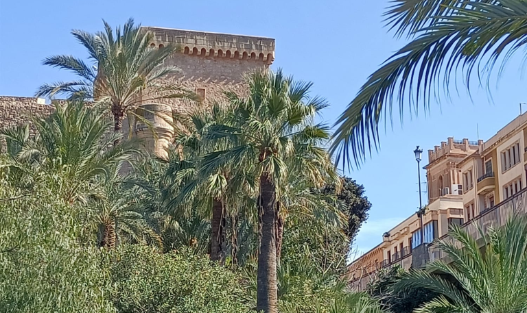 House Cleaning in Elche – Professional, Reliable & Affordable Services